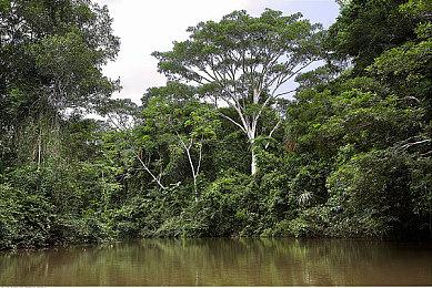 PS4PS5《战神：诸神黄昏》画面对比体验相差不多